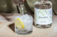 La botella de ginebra Gaudea. - GAUDEA