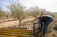 Justo Minguella va començar ahir a regar les seues finques de cereal i d’arbres al Segarra-Garrigues.