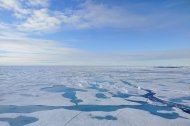 El hielo marino del Ártico se derrite a un ritmo sin precedentes.