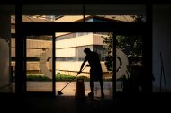 Un método natural y eficaz para eliminar el musgo de terrazas y superficies exteriores.