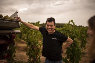 Celler Tomàs Cusiné - DRINKINMODERATION/CELLER TOMÀS CUSINÉ