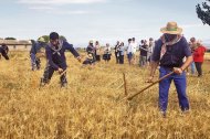 Reproducirán tareas como la siega con guadaña.