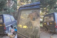 Montaña de Tor: alertan de que hay 4 perros encerrados desde hace 3 días en un vehículo que sería de Josep Cases 'El Terrisses'