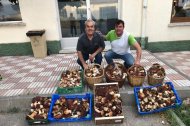Manel Muñoz i Joan Mora, de Cervera, van aconseguir una bona collita de ceps aquesta setmana. - SEGRE