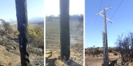 Endesa inspecciona la línia afectada per l'incendi entre Guissona i Ponts