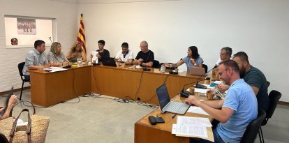 El ple municipal accepta la renúncia de Sergi Pelegrí, que ja no és alcalde d'Arbeca