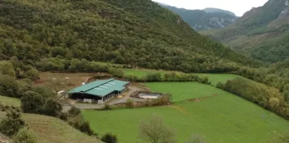 Imatge d’arxiu de la granja de vaques SAT Brams.