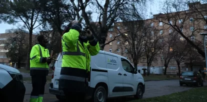 Una tècnica dissuadeix els estornells amb rajos làser i l’altre fa sonar una matraca i una botzina que simula el grall d’un falcó. - AMADO FORROLLA