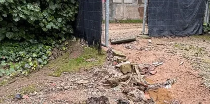 L’accés a una torre destrossat, una altra de negada, un preservatiu i una rata morta arrossegats per l’aigua.