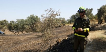Un agent rural delimitava ahir a peu la zona afectada per l’incendi de Torrefeta i Florejacs. - LAIA PEDRÓS