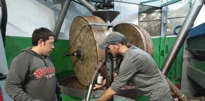 Sergi Puig, el moliner, repartint als esportons la massa de les olives d’un client. - J.M.A.