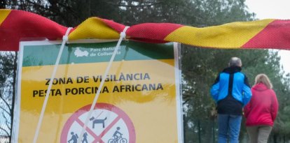 Vista de uno de los carteles situados este domingo en los accesos al Parque Natural de Collserola, alertando de la presencia de la peste porcina.