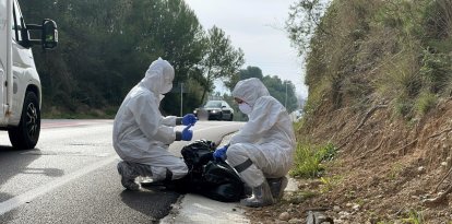 Efectius del cos d'Agents Rurals treballant diumenge al Parc Natural de Collserola per detectar casos de pesta porcina africana.