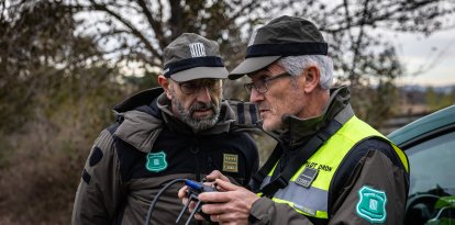 Agents Rurals fan volar un dron a la zona afectada per la pesta porcina africana.