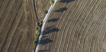 Parcel·les agrícoles catalanes recollides amb la DUN.