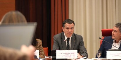 El conseller d'Agricultura, Òscar Ordeig, durant la seua compareixença aquest dijous al Parlament.