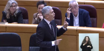 Fernando Grande-Marlaska es justifica al Senat.