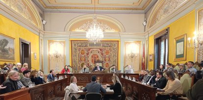 Una imatge del ple extraordinari d'aquest dimecres.