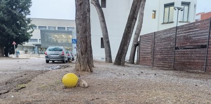 Las heces de pájaros cubren por completo el suelo de esta zona del recinto del Santa Maria.