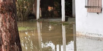L’accés a una torre destrossat, una altra de negada, un preservatiu i una rata morta arrossegats per l’aigua.