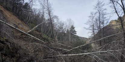 Arbres i terra ocupant la calçada de la carretera que va a Sant Joan Fumat i altres nuclis de les Valls de Valira.