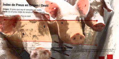 Les famílies compren la carn de porc més cara que abans del brot de pesta africana