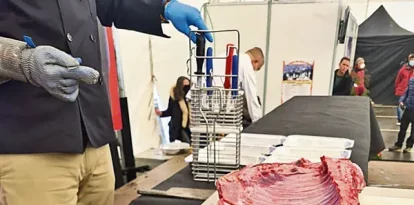 Una canal de senglar en un obrador abans de transformar-la en elaborats carnis.