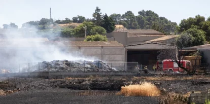 Zona cremada ahir a Talavera, a la Segarra. - AGENTS RURALS