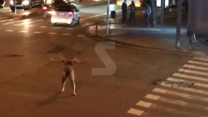 Un hombre desnudado por las calles de Lleida