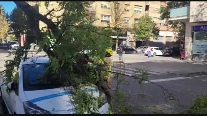 VÍDEO | El viento hace caer ramas encima de un coche en Lleida