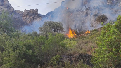 Les tasques d'extinció de l'incendi d'Artesa de Segre dijous per la tarda 2/2