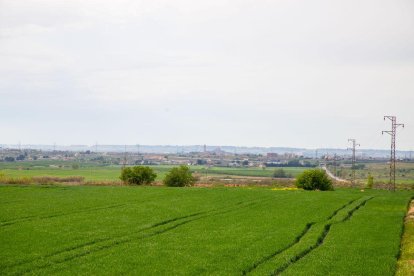 El polígon industrial de Torreblanca se situarà al costat dret de l’N-240 en direcció a les Borges, passada la variant sud (C-13). - GERARD HOYAS