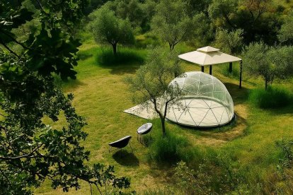 L’habitació-bombolla instal·lada entre oliveres a la Pobla de Cérvoles. - OLI COMETES
