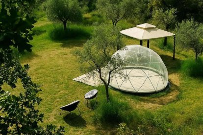 L’habitació-bombolla instal·lada entre oliveres a la Pobla de Cérvoles. - OLI COMETES