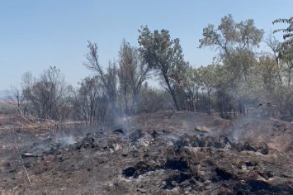 incendi torrefeta controlat