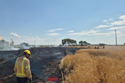 Imatge de l’incendi que hi va haver diumenge a la localitat i que va calcinar unes dos hectàrees. - BOMBERS