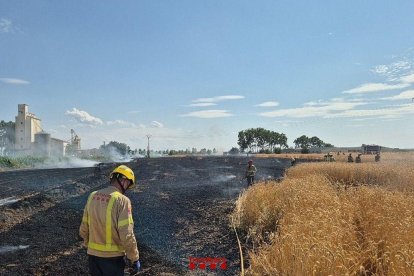 Imatge de l’incendi que hi va haver diumenge a la localitat i que va calcinar unes dos hectàrees. - BOMBERS