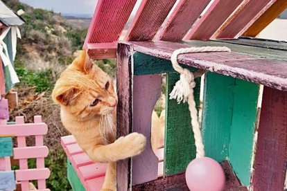 Les casetes han estat construïdes amb caixes de fruita i palets que han aportat veïns del poble.