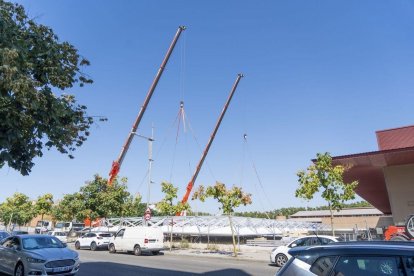 Les grans grues amb què es va aixecar la coberta del nou pavelló de la Fira de Lleida. - PAU PASCUAL