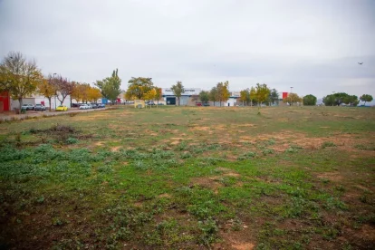 Vista de la finca del polígon del Camí dels Frares on la Paeria preveu un centre de culte. - SEGRE