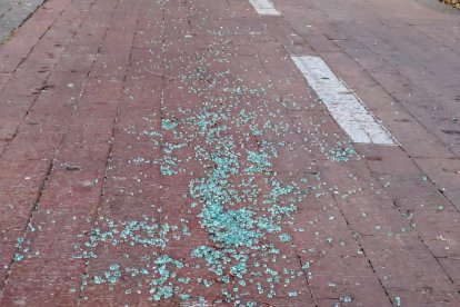 Vidres al tram del carril bici