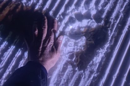 Petjades de l’os sobre la neu piconada de l’estació de Baqueira Beret.