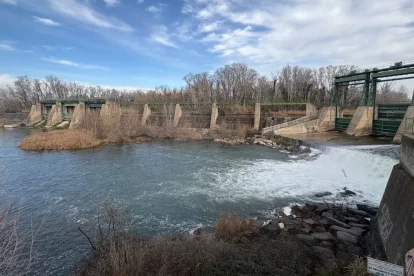 Les comportes del canal de Seròs, a l’altura de la Mitjana. - AMADO FORROLLA