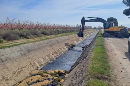 Una excavadora retira el fang de la solera del canal principal de l’Aragó i Catalunya. - ACA