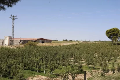 Veïns de l’Horta les finques dels quals estan afectades pel Plater i que han presentat al·legacions. - AMADO FORROLLA