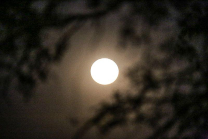 Imatges de la lluna plena del 14 de novembre del 2016. La més gran i brillant que es veurà en gairebé un segle.