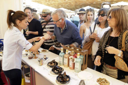 Más de 5.000 visitantes pasan por la octava Festa del Vi de Lleida en la plaza de la Llotja