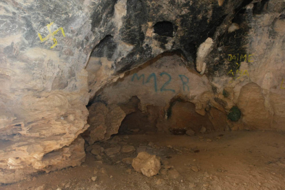 Imatges del vandalisme a la Cova del Tabac