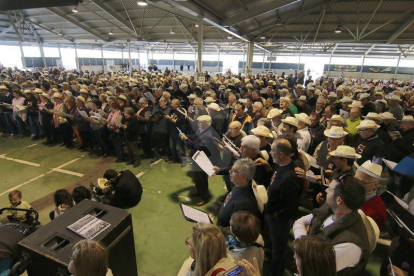 Hi van participar 800 cantors de 31 cors vinguts d'arreu de Catalunya.