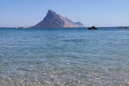 Vacances, relax, platja, Sardenya